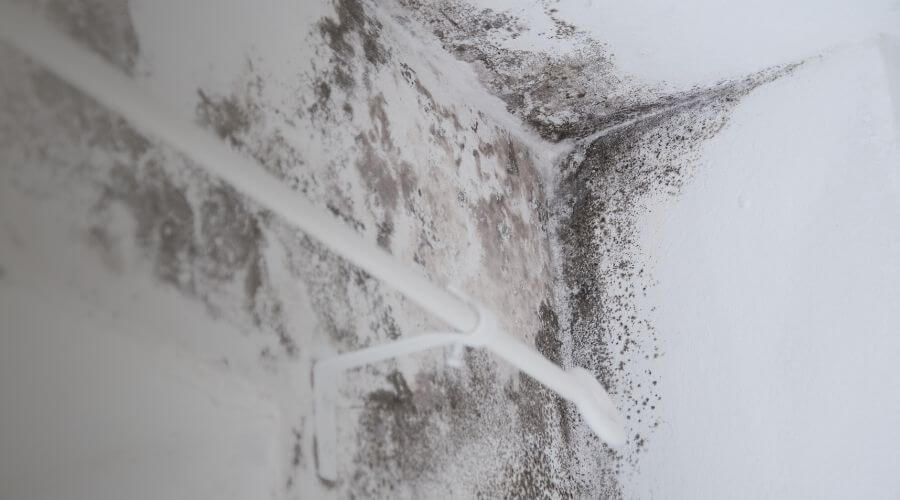 Why choose water damage restoration service for burst pipe water damage in Hemet